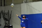 Women’s VB intersquad  Women’s Volleyball inter-squad match. : Women’s Volleyball, VB, inter squad, intersquad